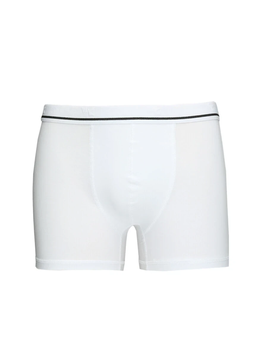 Beyaz Boxer - 1