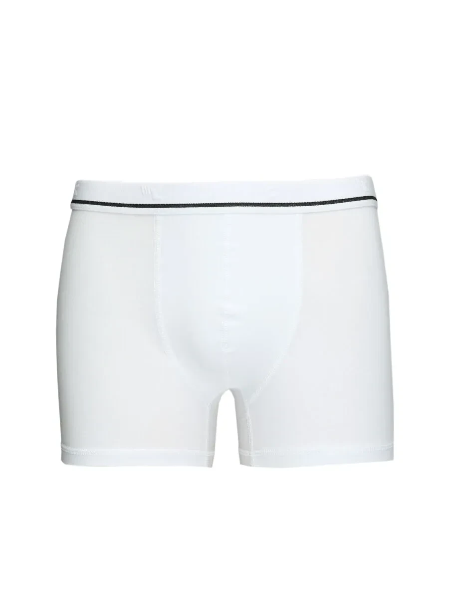 Beyaz Boxer - 1