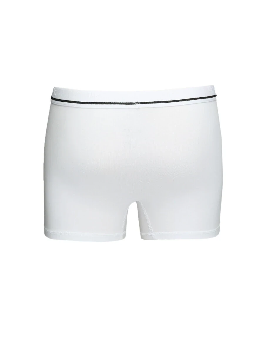 Beyaz Boxer - 3