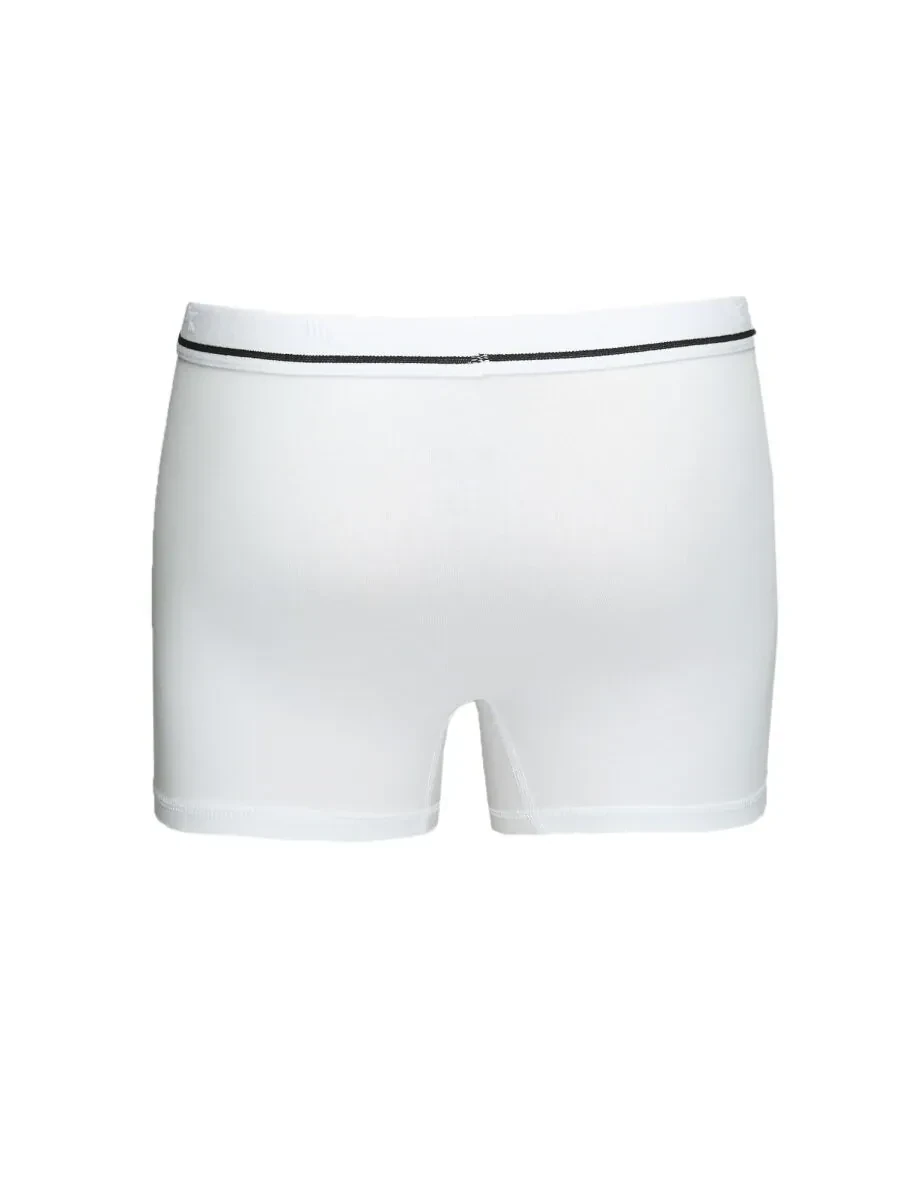 Beyaz Boxer - 3