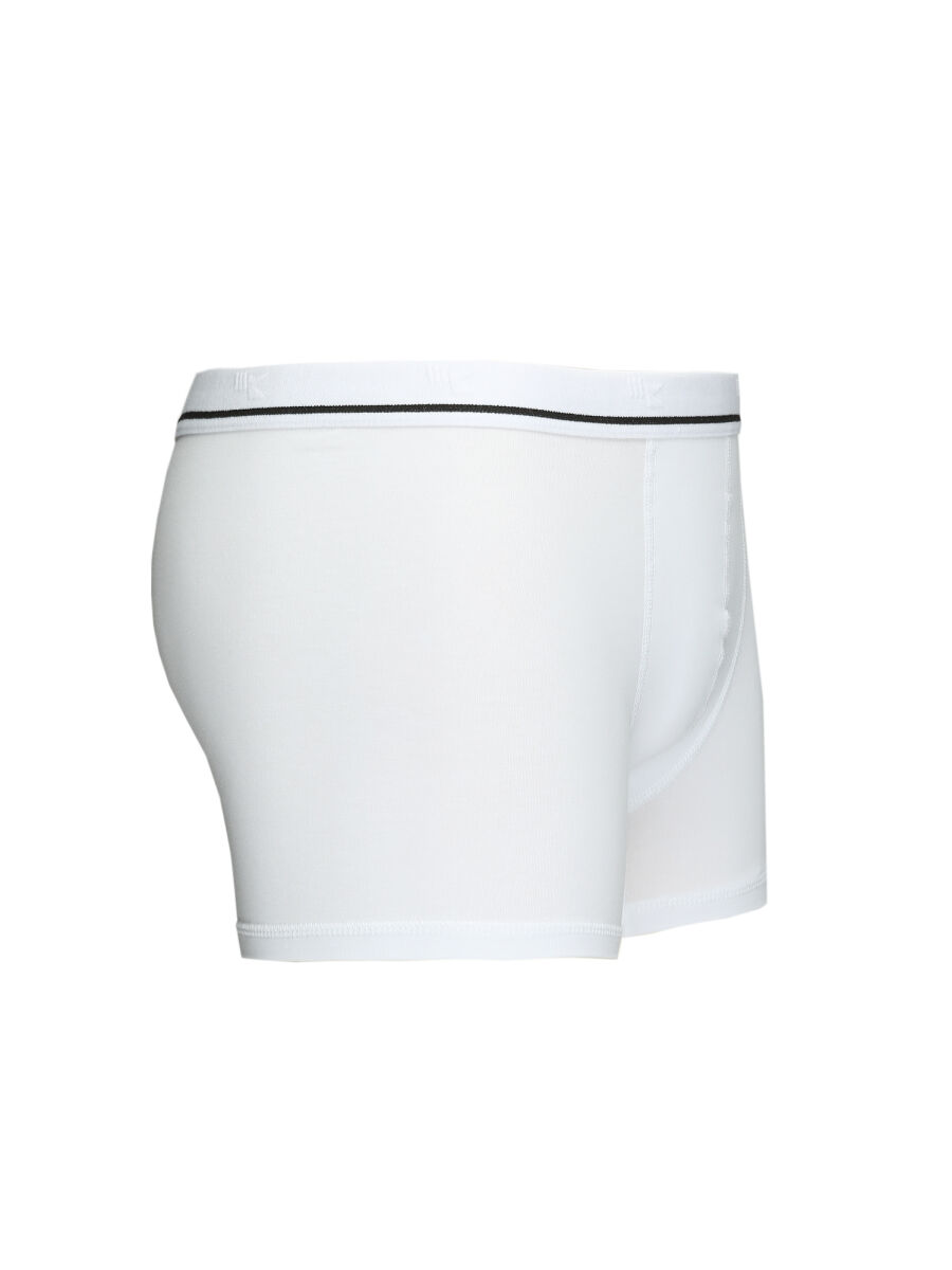 Beyaz Boxer - 2
