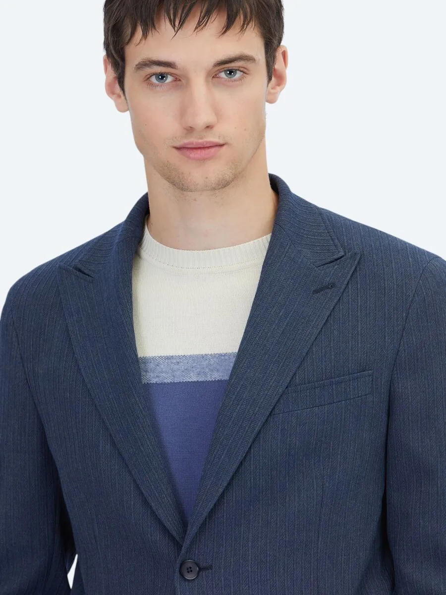 Dark Navyblue Striped Modern Fit Jacket - 4