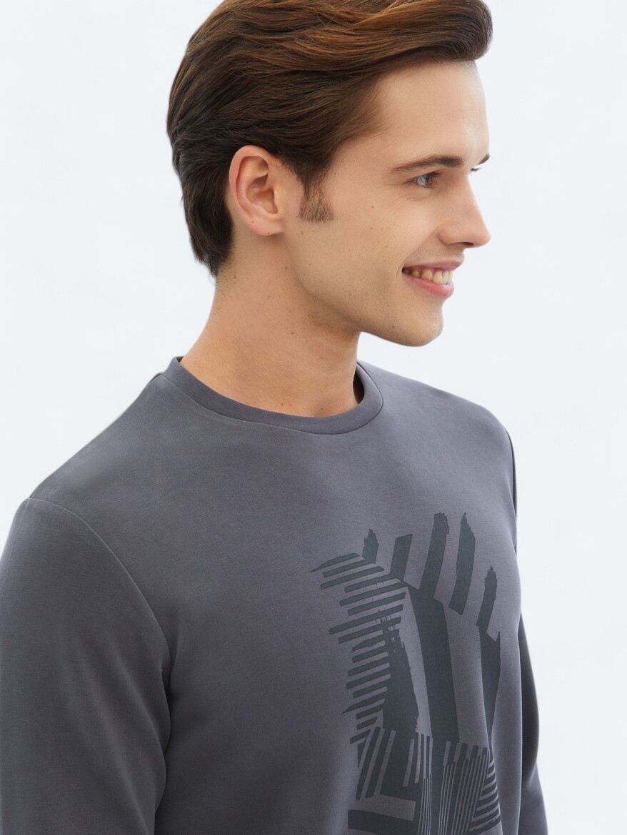 Grey Crew Neck Printed Sweatshirt - 4