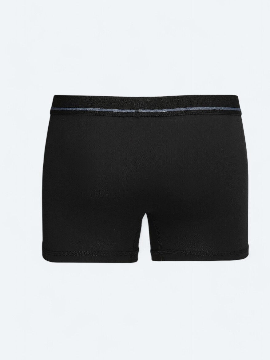 Siyah Boxer - 3