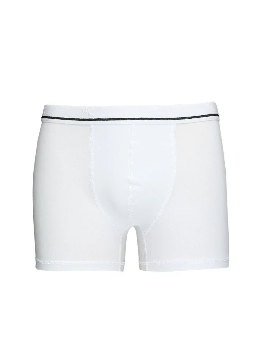 White Boxer - 1