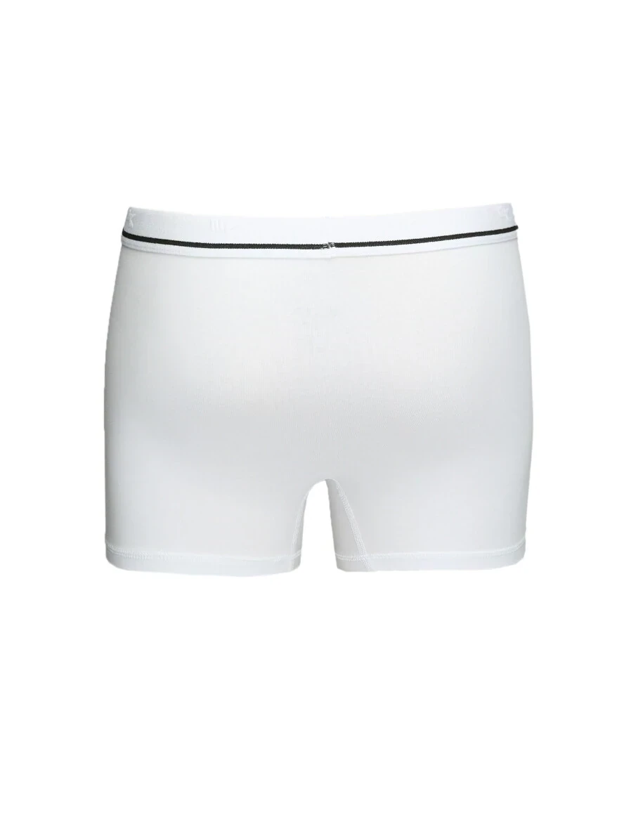 White Boxer - 3